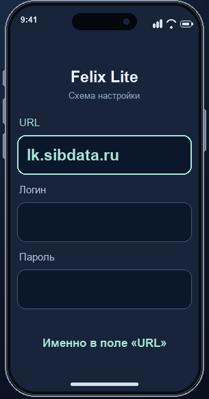 Схема приложения: в поле URL введите lk.sibdata.ru